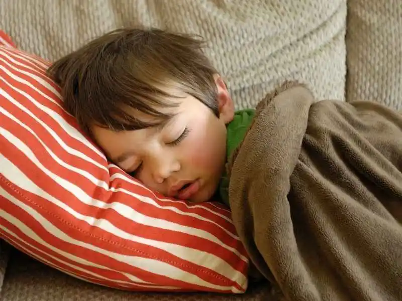 Tidur Siang Baik atau Buruk untuk Kesehatan